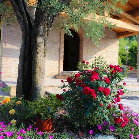 Agriturismo La Tana Città di Castello Buitenkant foto