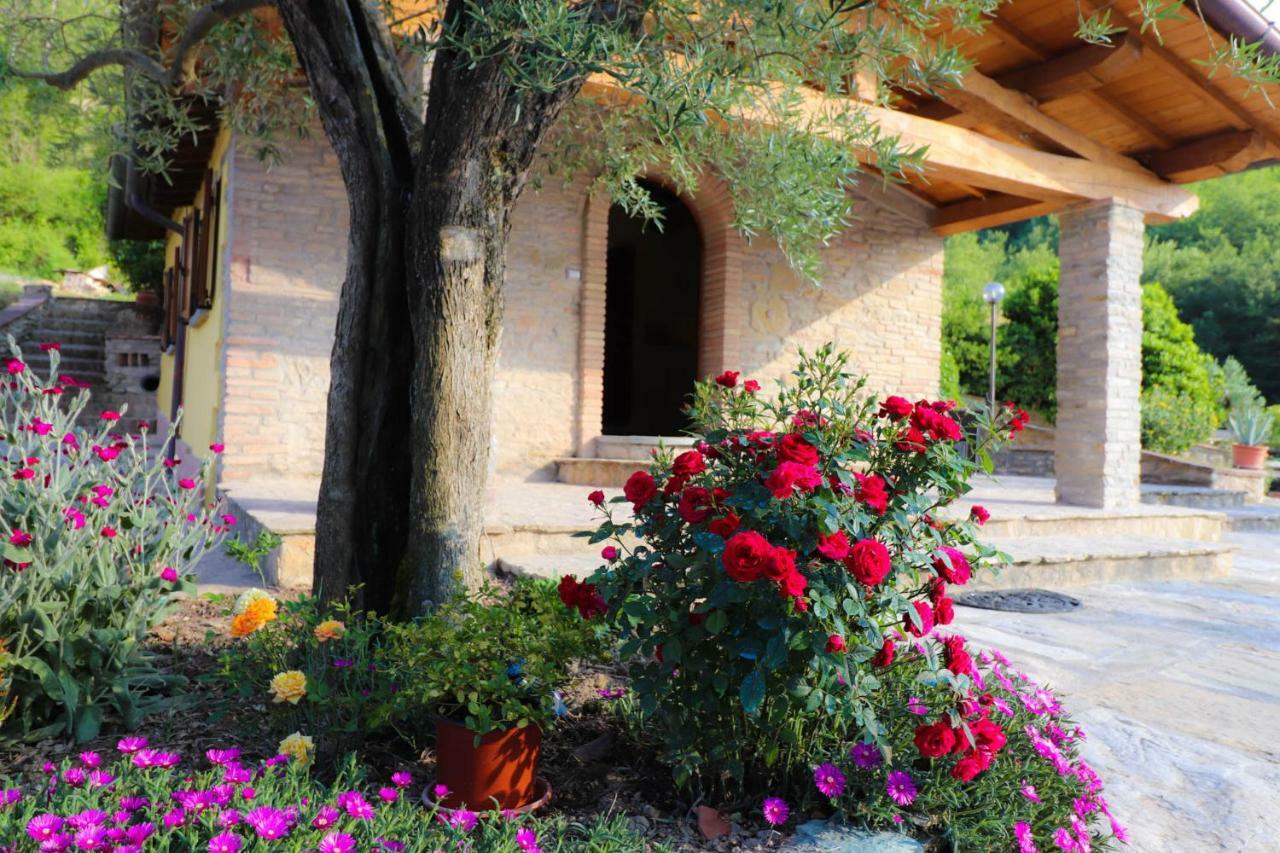 Agriturismo La Tana Città di Castello Buitenkant foto