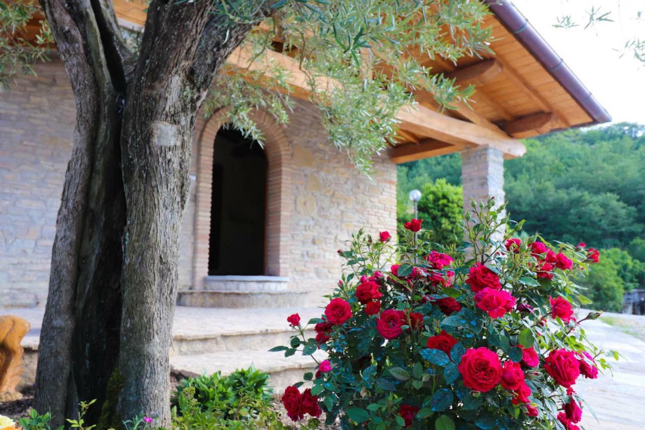 Agriturismo La Tana Città di Castello Buitenkant foto