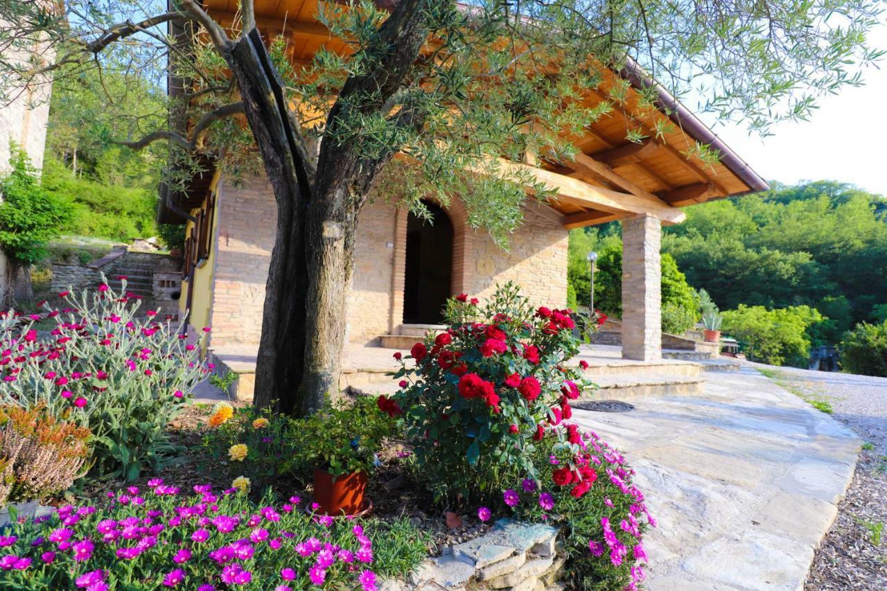 Agriturismo La Tana Città di Castello Buitenkant foto