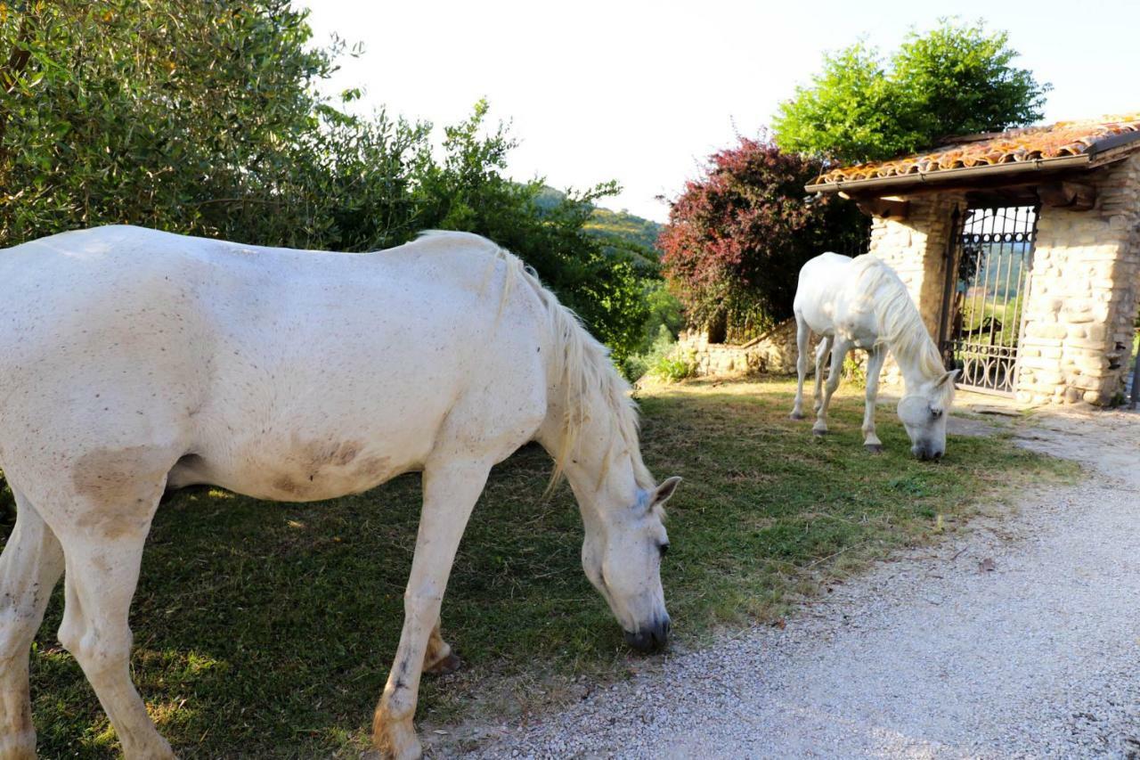 Agriturismo La Tana Città di Castello Buitenkant foto